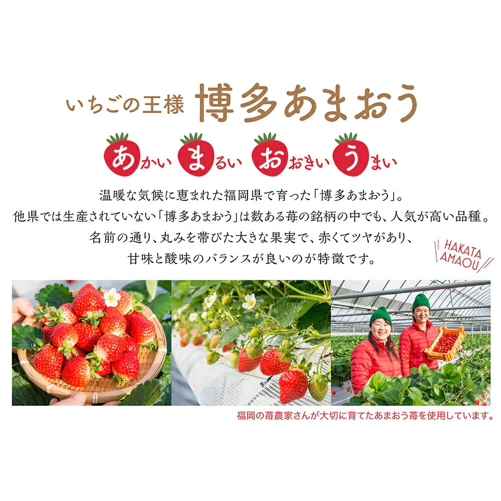 博多あまおう たっぷり苺のアイス(M-AH-TP5R)【送料無料】【母の日SALE】