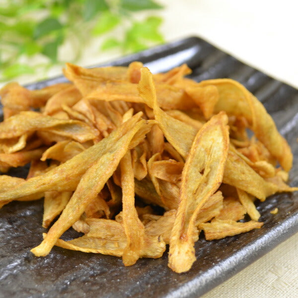 宮崎県名産品 野菜チップス ゴボチ 5袋入り