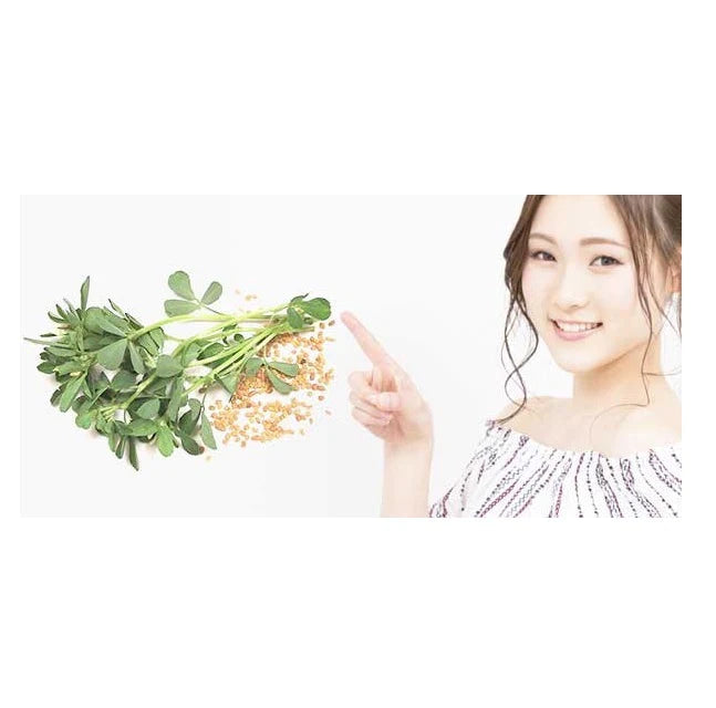 エンジェルボム(Angel Bom)【コエンザイムQ10ビタミンなど23種類成分配合 バストサプリ 2大バスト成分凝縮 美ボディ】
