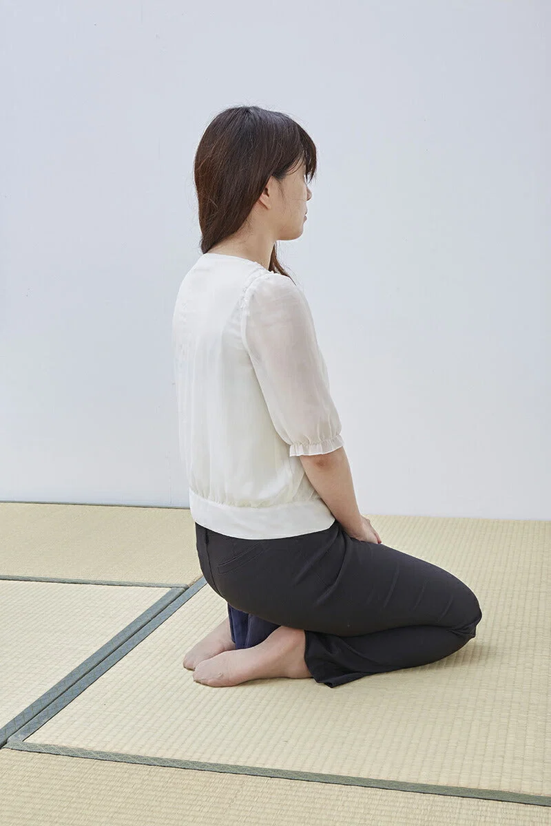 正座椅子 携帯用 折りたたみ シート 目立ちにくい 茶道 喪服 和服 畳 携帯 折りたたみ式 軽量 日本製 シビレ対策 持ち歩き正座補助 シート持ち歩き正座シート