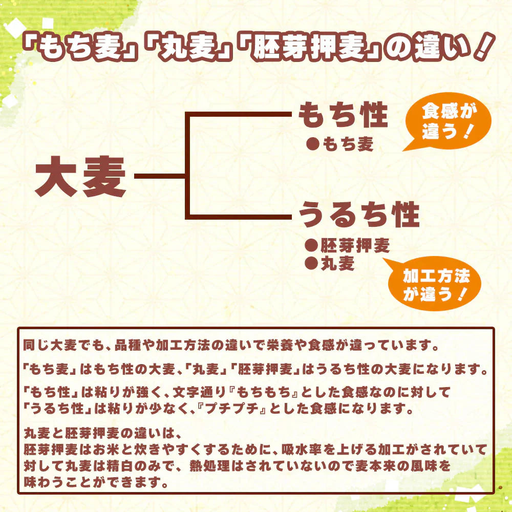 雑穀 雑穀米 国産 丸麦 800g(400g×2袋) 定番サイズ 無添加 無着色 送料無料