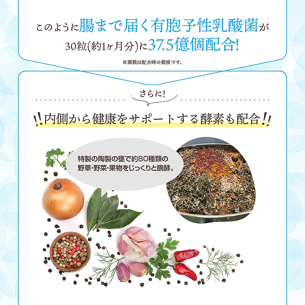 乳酸菌《約1ヶ月分》有胞子性乳酸菌ソフトカプセル/ 乳酸菌 高配合 サプリ 桜の花エキス【カウシェファーム収穫対象商品】