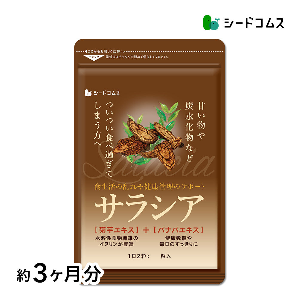 サラシア《約3ヶ月分》 送料無料 健康 サプリメント サプリ ダイエット サラシア 糖分 炭水化物【大容量】