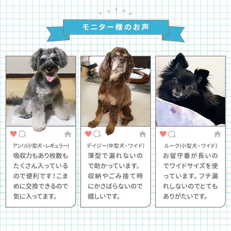 【レギュラーサイズ/800枚入り】超薄型 ペットシーツ ペットシーツ 多頭飼い 大容量 まとめ買い 業務用 ペット用 ペットシート トイレシート 犬 猫 トイレシーツ ペット用シーツ ペットシート おしっこシート おむつ替えシート 送料無料