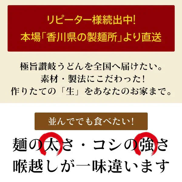 本場生讃岐うどん 専用醤油付セット 【平切り麺】 6人前 (300g×2袋) 送料無料 生うどん しょうゆうどん 簡単調理 鎌田醤油 人気 麺 讃岐 うどん 本場 純生 香川県 生麺 めんつゆ こだわり