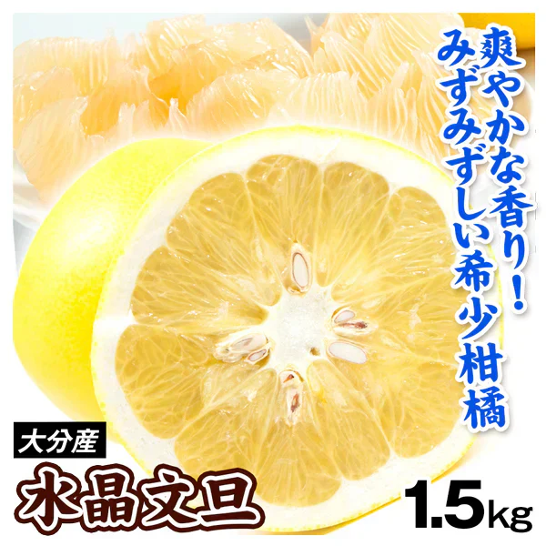 みかん 大分産 水晶文旦 1.5kg ご家庭用(発送予定:2025年2月下旬より)