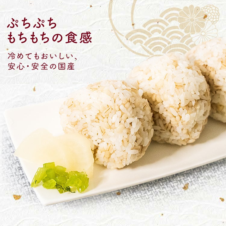 もち麦 国産 アイリスオーヤマ 2kg 押し麦 胚芽押麦 機能性もち麦 500g 食物繊維 豊富 もち麦ご飯 麦飯 麦ごはん 混ぜるだけ 簡単 押麦 胚芽押し麦 国産もち麦 国産押麦 国産胚芽押麦 アイリスフーズ *