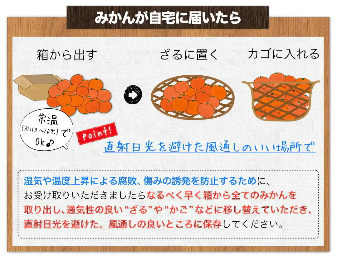 小玉 みかん 送料無料 訳あり みかん 小粒 1.5kg 家庭用 箱買い 果物 小粒 熊本 極早生 柑橘 九州 訳アリ だけど 小玉 で 甘い 蜜柑 わけあり 《9月中旬-9月末頃より発送予定》