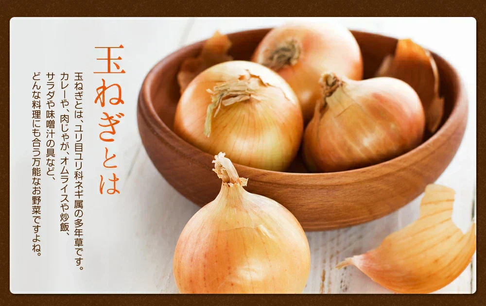 サラサラ玉ねぎケルセチン《約3ヶ月分》国産/北海道産/淡路島産/タマネギ/玉ねぎ/玉葱/醗酵黒玉ねぎ/サプリ