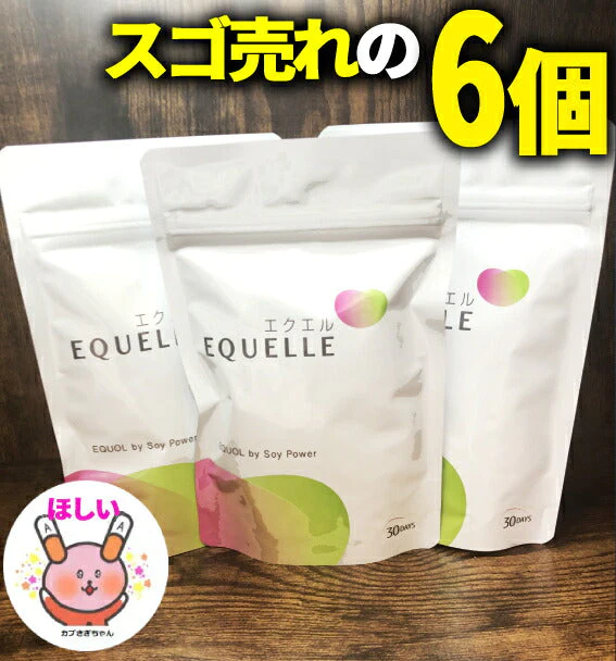 エクエルパウチ 6袋セット