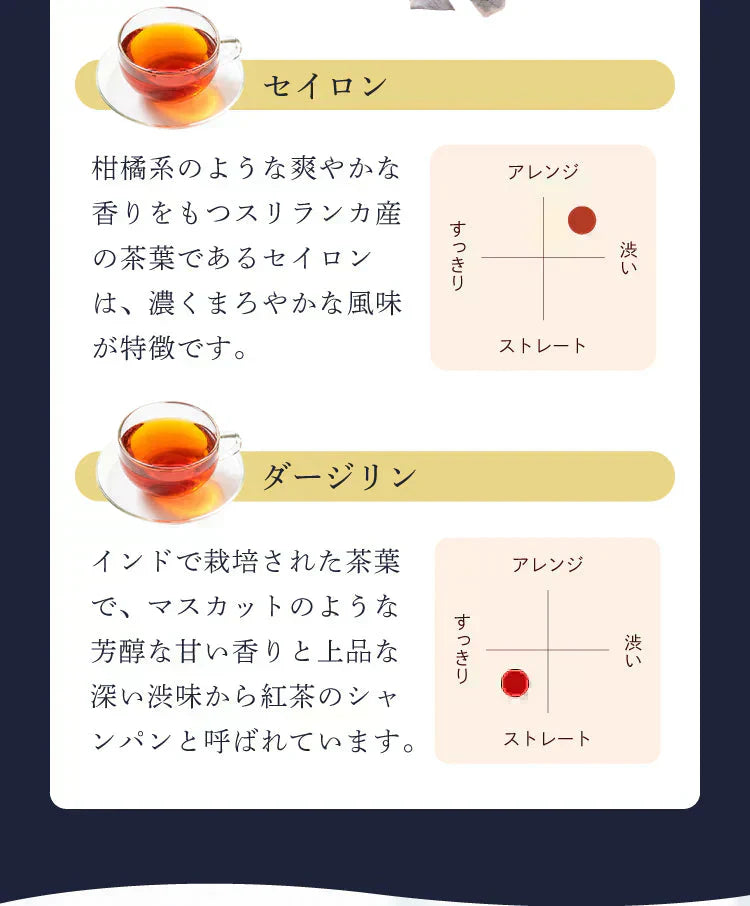 ★水出しOK★セイロンティー ダージリンブレンド 100個入 ( 紅茶 大容量 ダージリンティー セイロン ホット アイスティー ティーバッグ ティーパック )