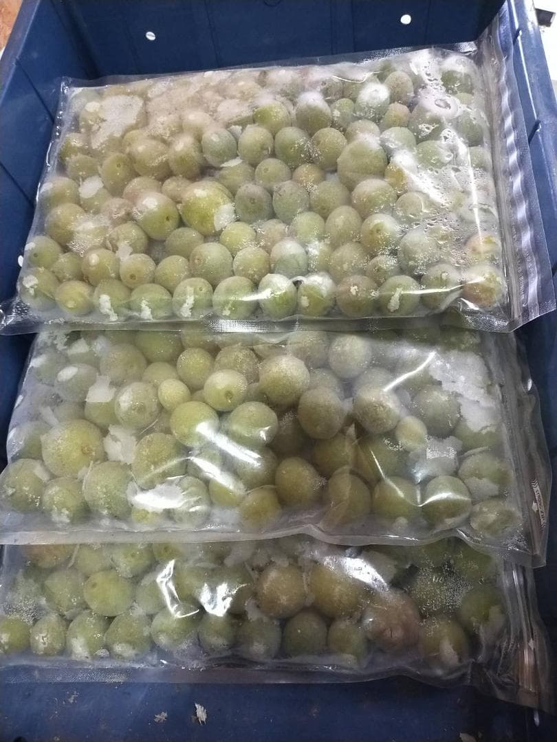 青森県 南部地方産 豊後(ブンゴ)梅 青梅 収穫した梅をそのまま冷凍 サイズ混合2.7㎏ 高級品種 梅漬け 梅酒 梅ジュース 全国送料無料!【6404】