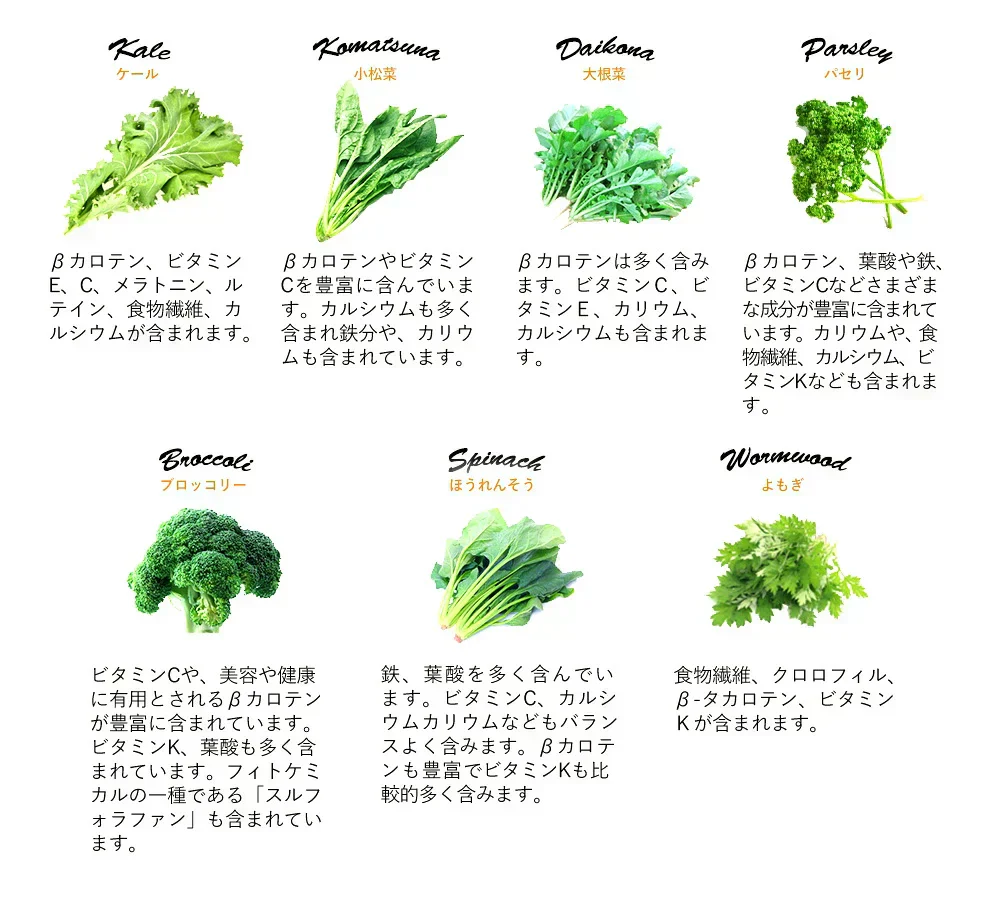 トマトリコピン《約3ヶ月分》リコピン サプリメント トマト 緑黄色 野菜 植物繊維 葉酸 カロテン カリウム ビオチン ルテイン メラトニン ビタミンc カルシウム 鉄分 スルフォラファン【大容量】