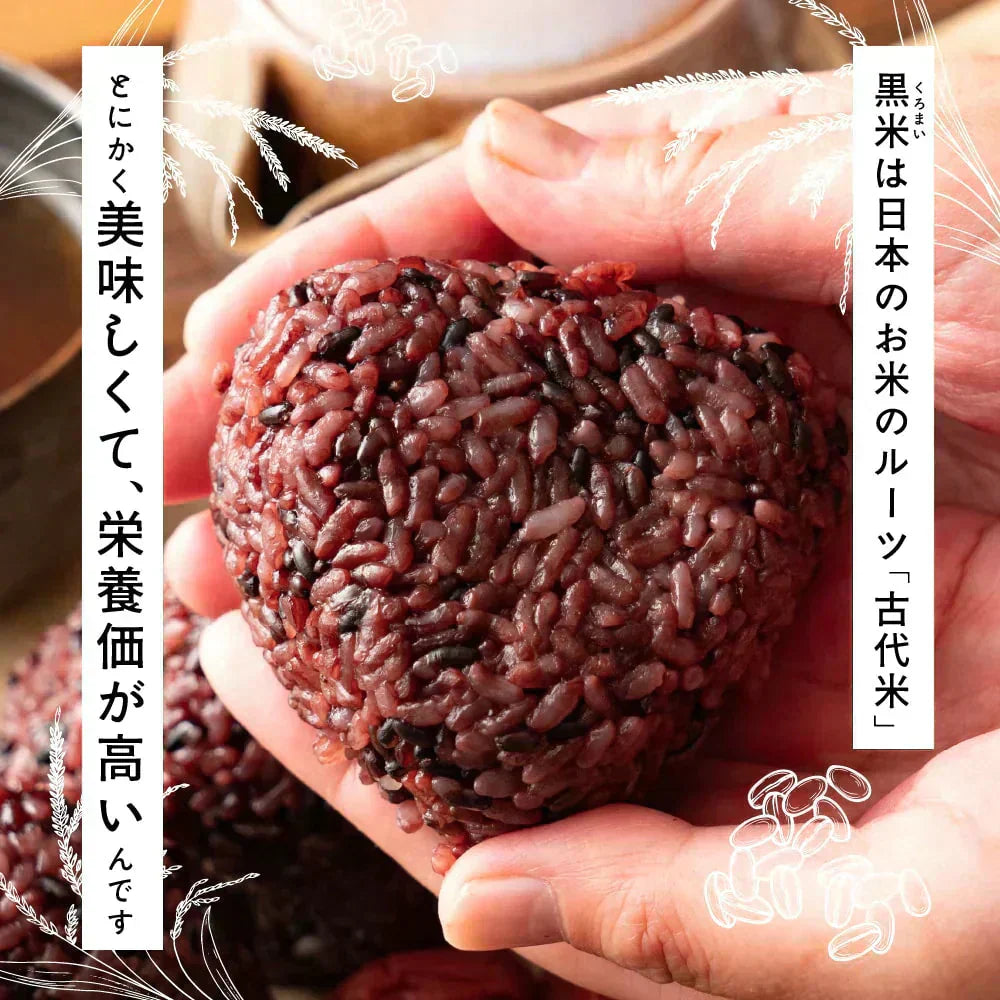 雑穀 雑穀米 国産 黒米 400g お試しサイズ 無添加 無着色 送料無料 古代米 くろまい こくまい ダイエット食品 置き換えダイエット