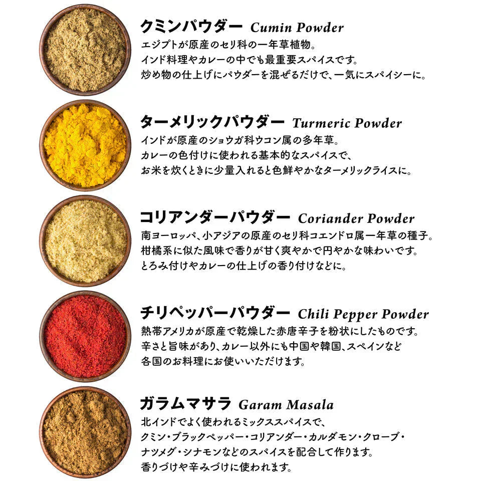 【送料無料 レシピ付】カレー 初級 スパイス 5種 セット 100g 大容量 チャック袋入 スパイス スパイスカレー おうちカレー 手作りカレー 送料込み お得 人気 お試し お試しセット