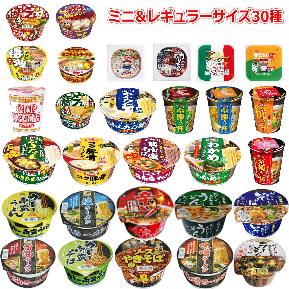 マルちゃん 日清食品 明星食品 スナオシ インスタント麺 ミニサイズ レギュラーサイズカップ麺 コラボ マンスリー 極み30食セット