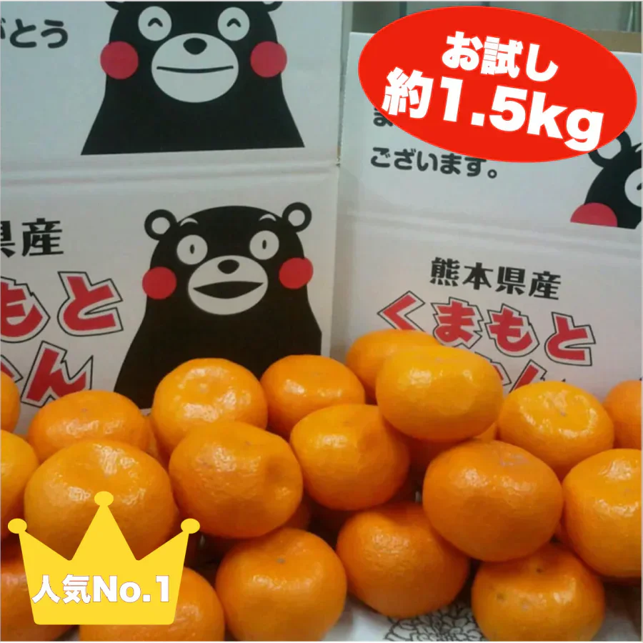 熊本産 みかん 訳あり 約1.5kg ご家庭用 60サイズ 送料無料