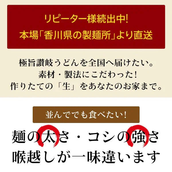 本場生讃岐うどん 専用醤油付セット【極太麺】 6人前 (300g×2袋) 送料無料 讃岐うどん 生うどん しょうゆうどん だし醤油 鎌田醤油 国産小麦 生麺 人気 贈り物 手土産 お土産 お礼