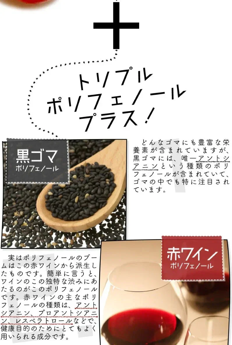 【大容量★約6ヶ月分】healthylife セサミンプラス【黒ゴマ 健康サプリ 健康 美容 スリム セサミン サプリ サプリメント 女性 タブレット ビタミンE 亜麻仁油 アマニ油 コエンザイムQ10 ローヤルゼリー アスタキサンチン ポリフェノール リコピン 白髪サプリ 約360粒 おすすめ 人気 ランキング 効果 強力 最強 通販 日本製 国産】