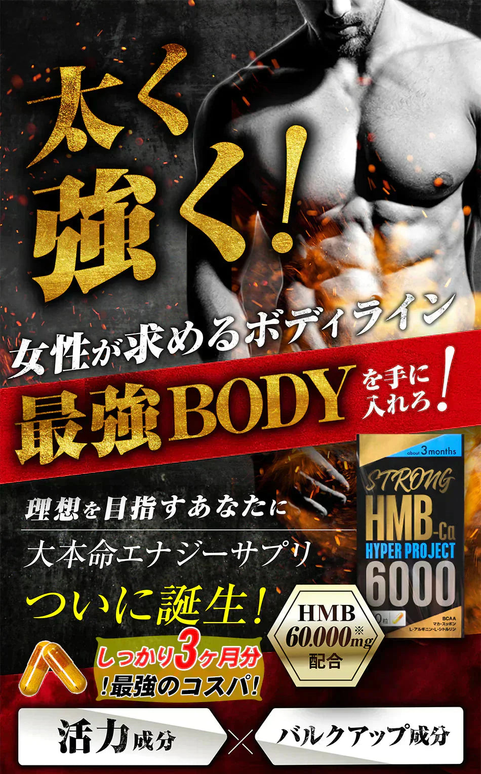 【ストロング HMB・お得3ヶ月分】太く 強く 気力 活力 男性 BCAA クレアチン カルニチン 亜鉛 アルギニン 人気ランキング サプリメント 国産 ダイエット 女性が求める最強のボディー 男力 バルクアップ 理想の体 ダイエットボディーメイク マカ HMB おすすめ 人気 ランキング 効果 強力 最強 スッポン マムシ BCAA 馬睾丸 日本