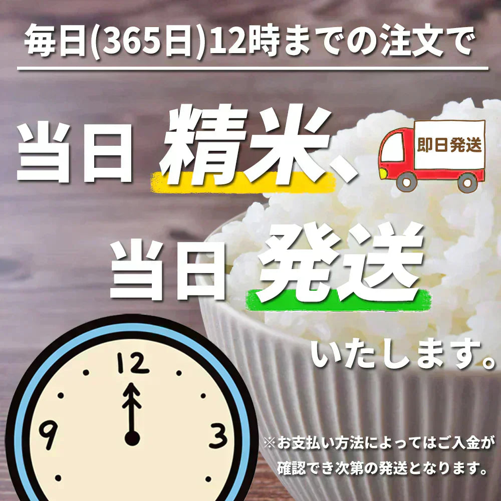 新米 秋田県産 あきたこまち 精米10kg(5kg×2袋)令和7年産 【古代米プレゼント付き】