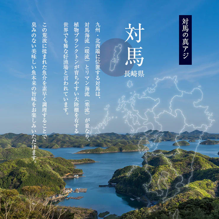 骨まで食べられる 焼き魚 あじ 干物 約50g×5枚