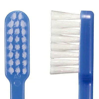 歯ブラシ リセラ スクエア フラット毛 Mふつう 20本セット (Ciメディカル歯ブラシ) 【メール便送料無料】