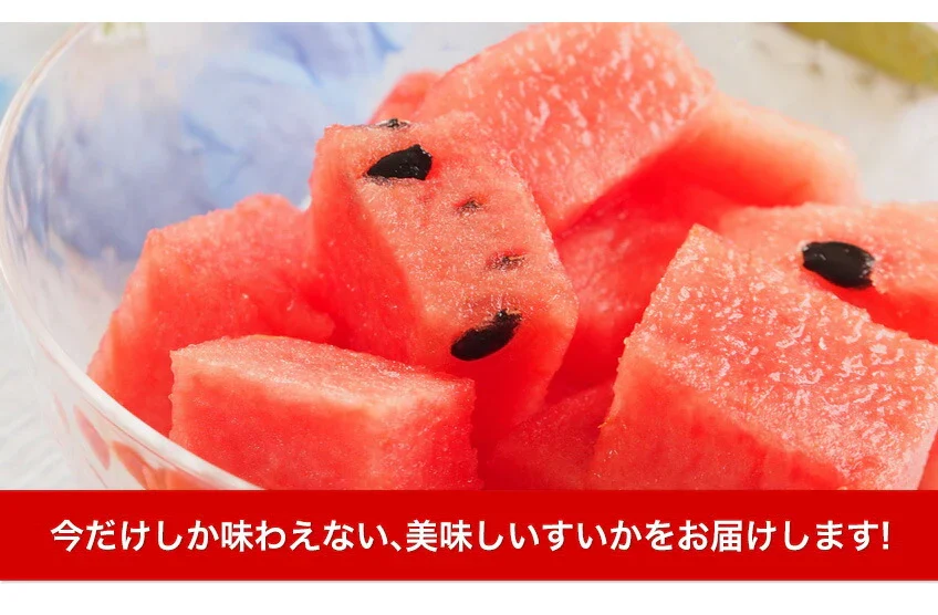 大玉 すいか 6kg以上 熊本県産 送料無料 スイカ 訳あり ジャンボスイカ 熊本 旬 の 果物 夏 キャンプ 家庭用 自家用 フルーツ 果物 甘い《7-14営業日以内に発送予定(土日祝除く)》