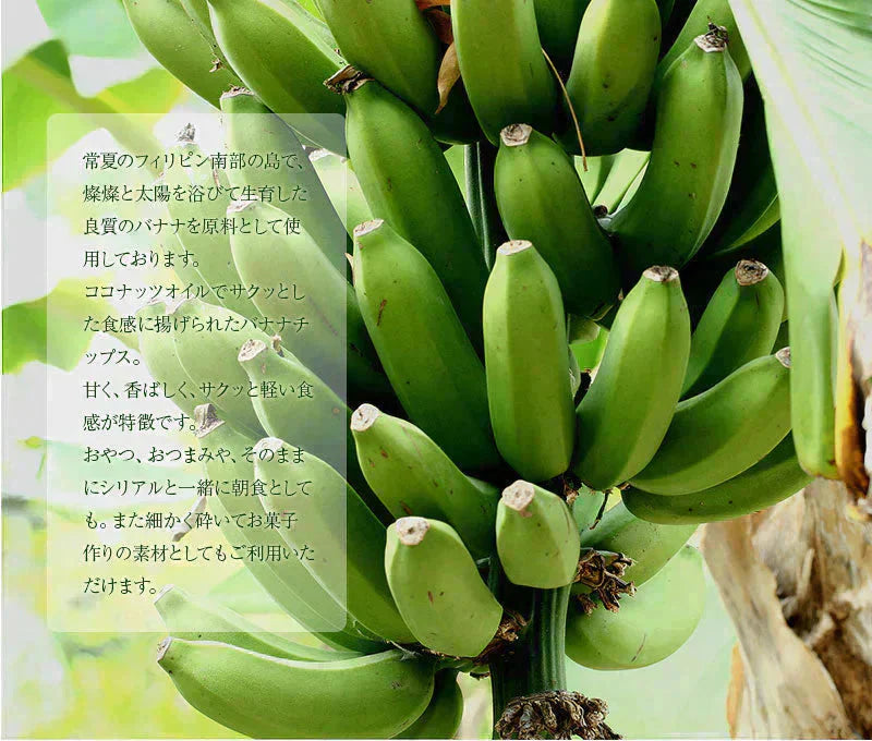 <300g バナナチップス> ドライフルーツ