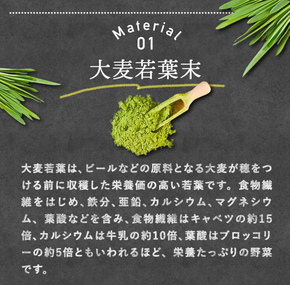 するっと黒汁 1箱30包入り 炭青汁 チャコール 黒汁 炭入り 青汁 ダイエット サプリ 乳酸菌 酵素 ブラックジンジャー マカ チャコールクレンズ