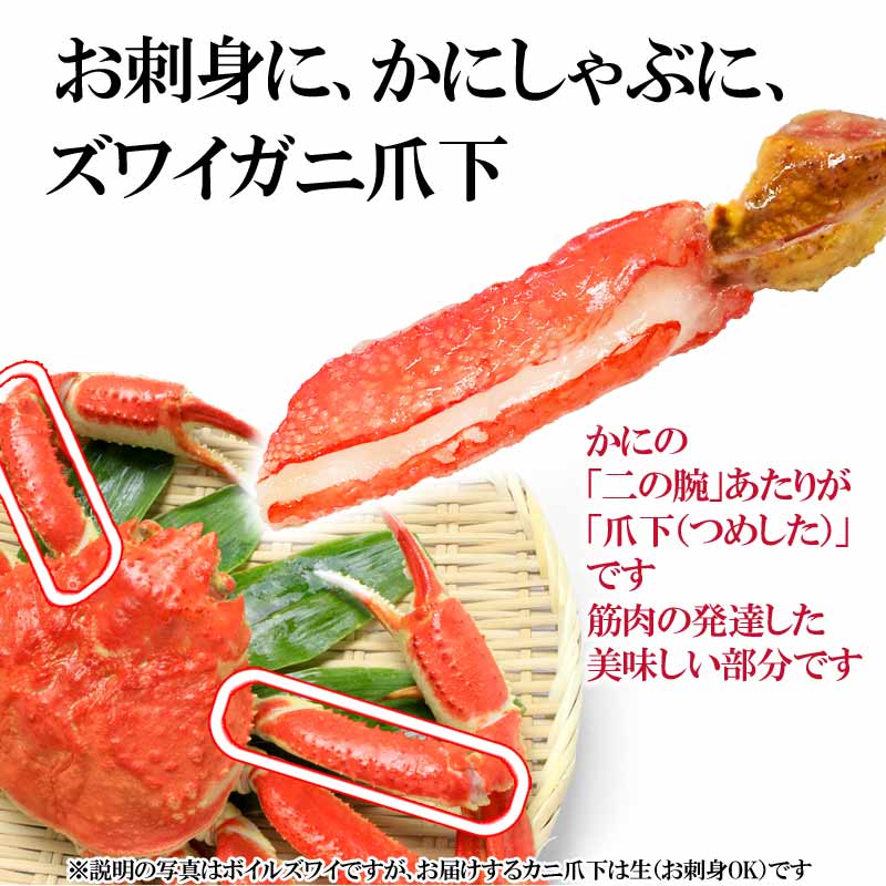 ★生食OK★一口カニしゃぶ★生 ズワイガ二足 カニ爪下 ポーション 約500g(正味400g入り)×1袋 冷凍《殻むき不要》 爪下 ポーション カニ足 蟹 セット