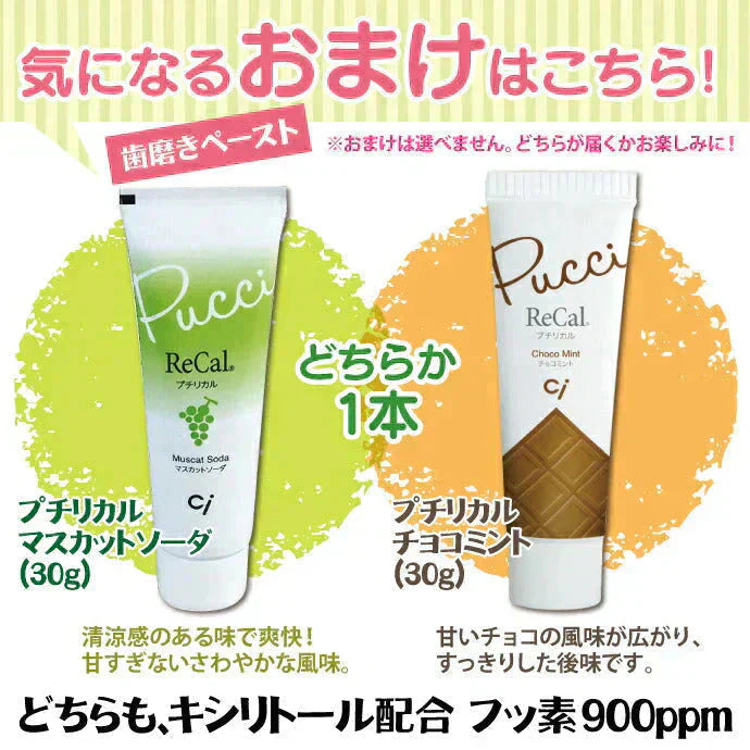 歯科専用の歯ブラシ アソート20本セット福袋 【おまけ付】≪歯ブラシは全て日本製のこだわり福袋≫※返品不可【福袋】【福袋の日】【メール便送料無料】