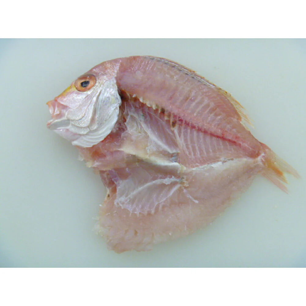 山口 連子鯛 一夜干し 2枚×3【送料込み】