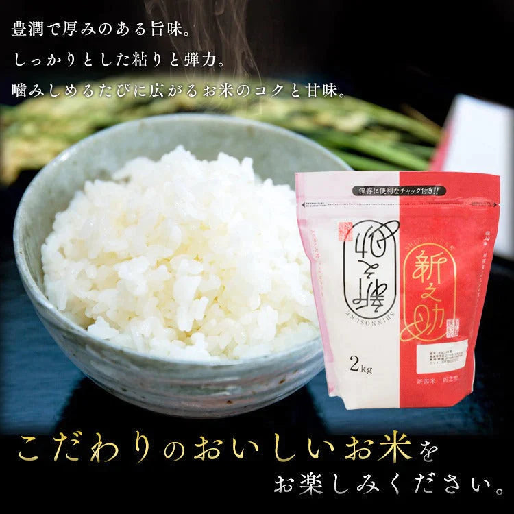 【カートアップNG】アイリスオーヤマ 低温製法米 新潟県産 新之助 2kg