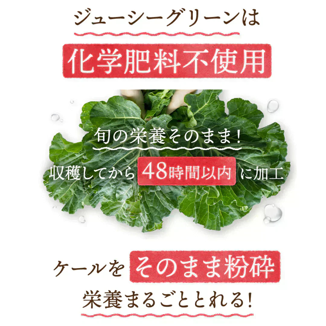 おいしい旬採れケール青汁 3袋入( ケール 青汁 健康飲料 野菜 飲みやすい 緑茶 お茶 サプリメント )【カウシェファーム収穫対象商品】