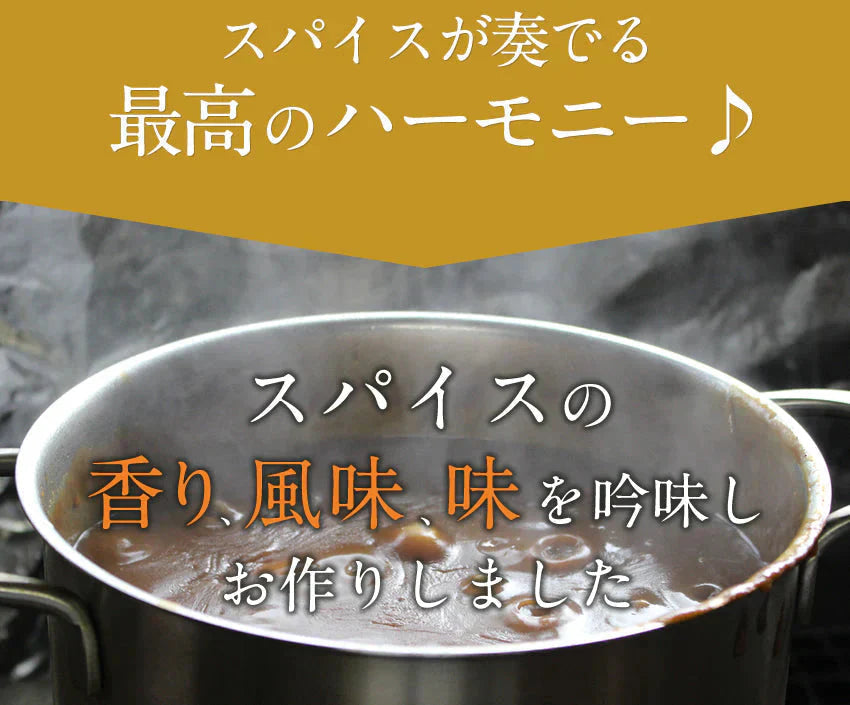 2種ビーフカレー5食セット大阪風あまからビーフカレー3袋+野菜もしっかりビーフカレー2袋