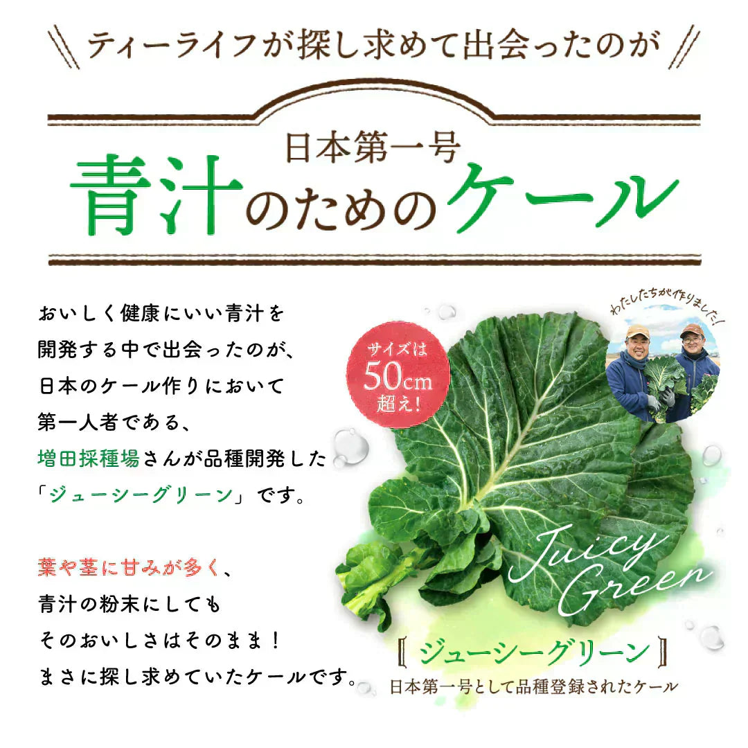 おいしい旬採れケール青汁 3袋入( ケール 青汁 健康飲料 野菜 飲みやすい 緑茶 お茶 サプリメント )【カウシェファーム収穫対象商品】