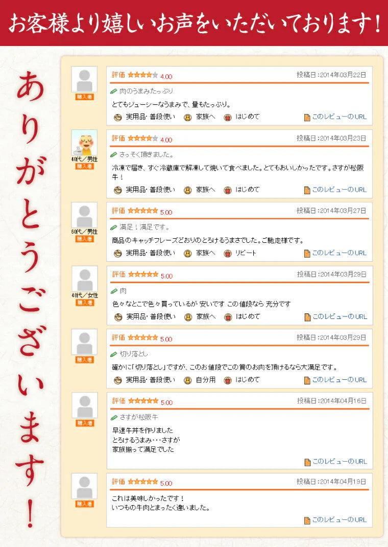 三重県特産品 ブランド牛 松阪牛切り落とし500g
