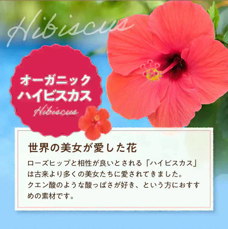 アレンジルイボスティー 有機ローズヒップ カップ用 ティーバッグ 30個入