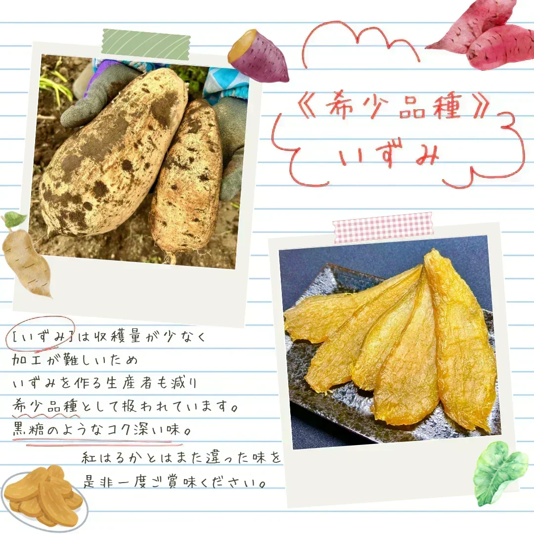【干し芋】ひたちなか市産 希少品種 干しいもいずみ180g 送料無料