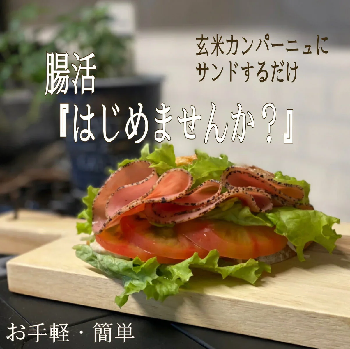 農家直送 無添加<玄米ペースト丸ぱん>11袋 22個入り