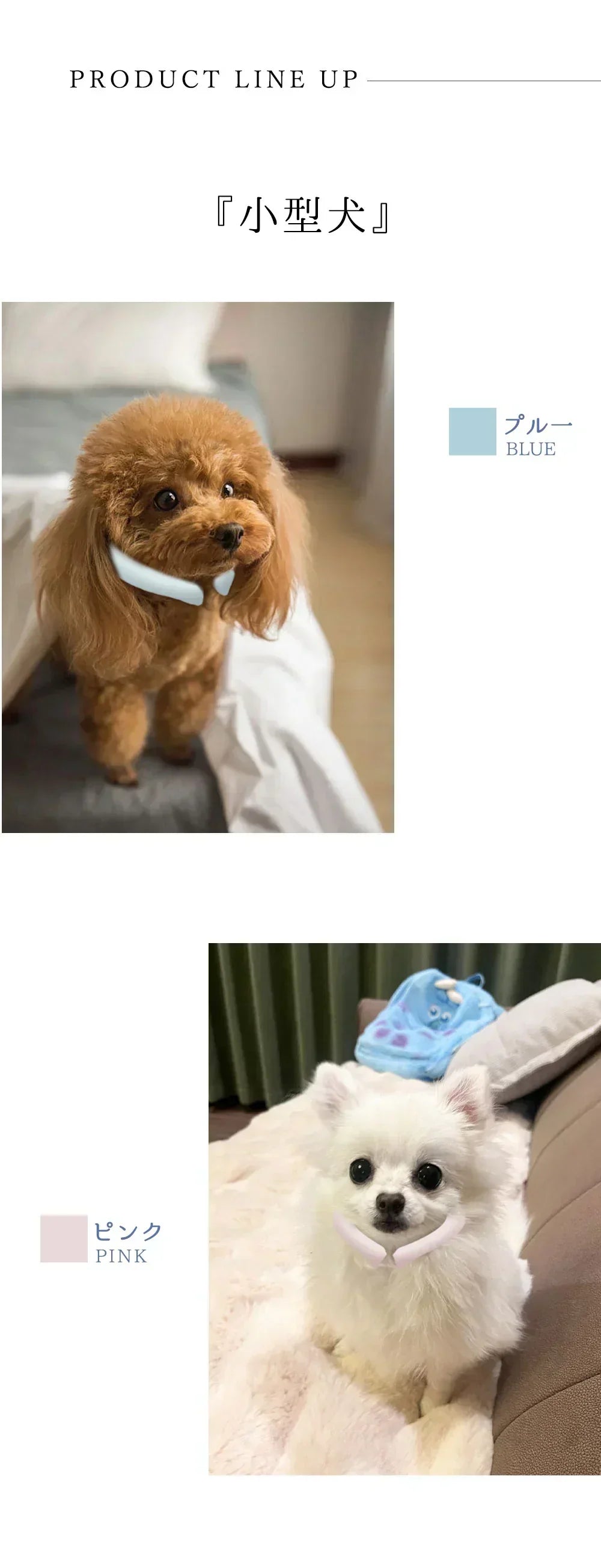 【超軽量デザイン!】\1本 Sサイズ 色がランダム出荷/犬用 アイスクールリング ネッククーラー クールリング ひんやりリング ひんやりグッズ クールネック ひんやりリング 冷やす 首掛け 犬 冷感リング 冷感グッズ ペット用 お散歩