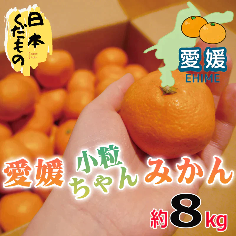 愛媛県産 みかん 小粒ちゃん 8kg 訳あり家庭用 柑橘