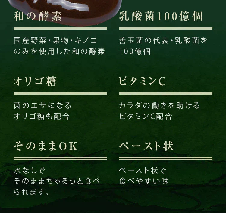 あじわい酵素(31包入り)美容サプリ  国産野菜・果物キノコのみを使用!美容と健康にうれしい成分をプラス!乳酸菌、ビタミンC、ペースト状 ダイエット サプリ ゼリー