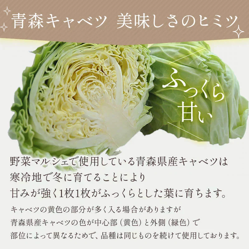 乾燥野菜 100g×1袋【青森のねぎ香るミックス】やさいマルシェ 無添加 ブドウ糖不使用 簡単 無駄なし 時短 青森産 アウトドア 災害常備菜 長期保存 食物繊維 国産