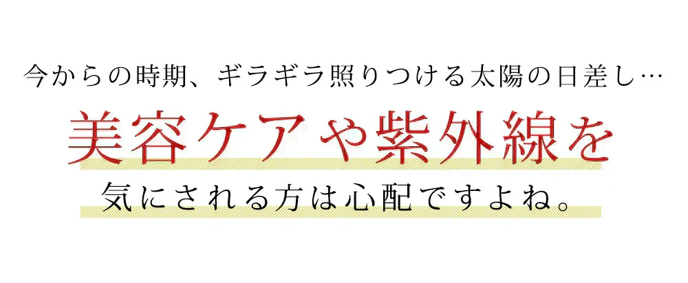 ベリーベリーホワイト《約3ヶ月分》透き通るほどのみずみずしさを♪ナイアシン サプリ アスコルビン酸 シスチン 真っ赤ないちごのポリフェノールを配合した、真っ白な美容ケアサプリです♪ 送料無料 サプリメント 健康 美容  ポリフェノール ビタミンc