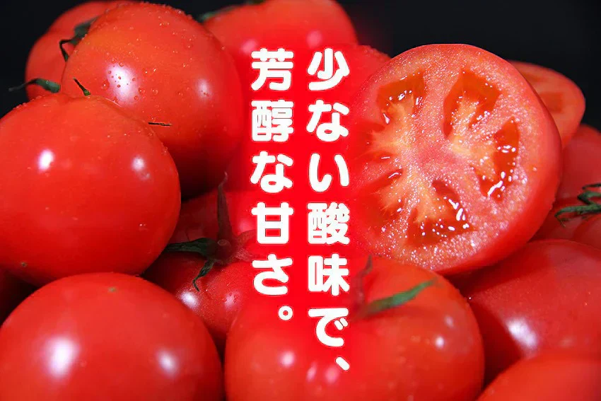 予約2026年1月下旬から順次発送【特別栽培農産物】\訳あり/ソムリエ トマト 4~5kg(18玉~36玉)ダイヤのオマケ付き
