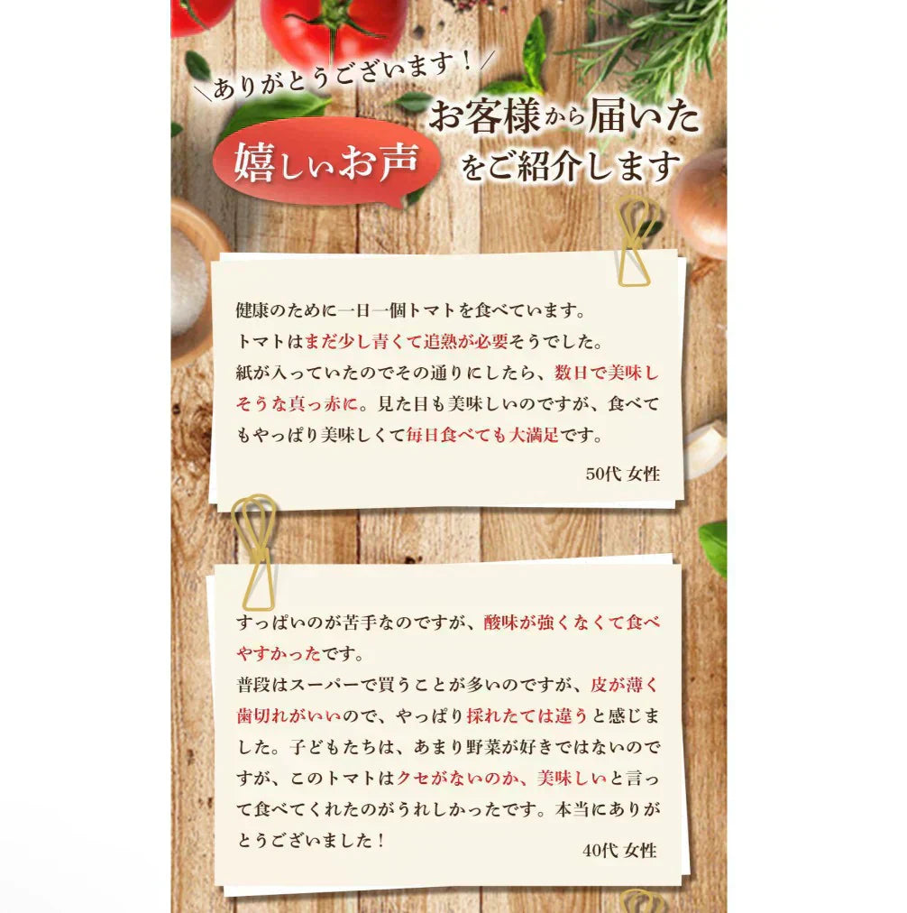 予約【1月前後から発送開始】お試し\特別栽培農産物/ソムリエミニトマト プラチナ 390g