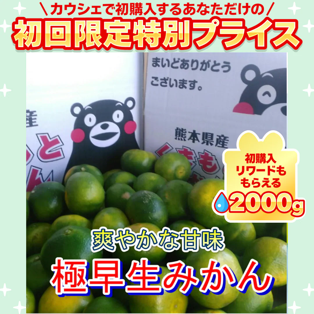 熊本産 みかん 極早生 訳あり 約1.5kg ご家庭用 60サイズ 送料無料【ご新規さん限定商品】