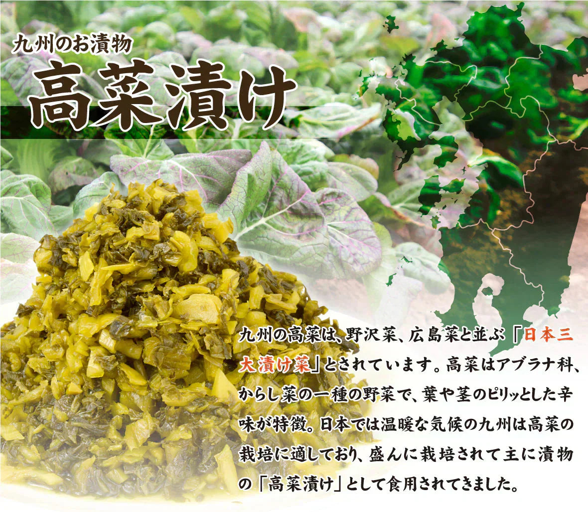 きざみ高菜 醤油漬け 1kg